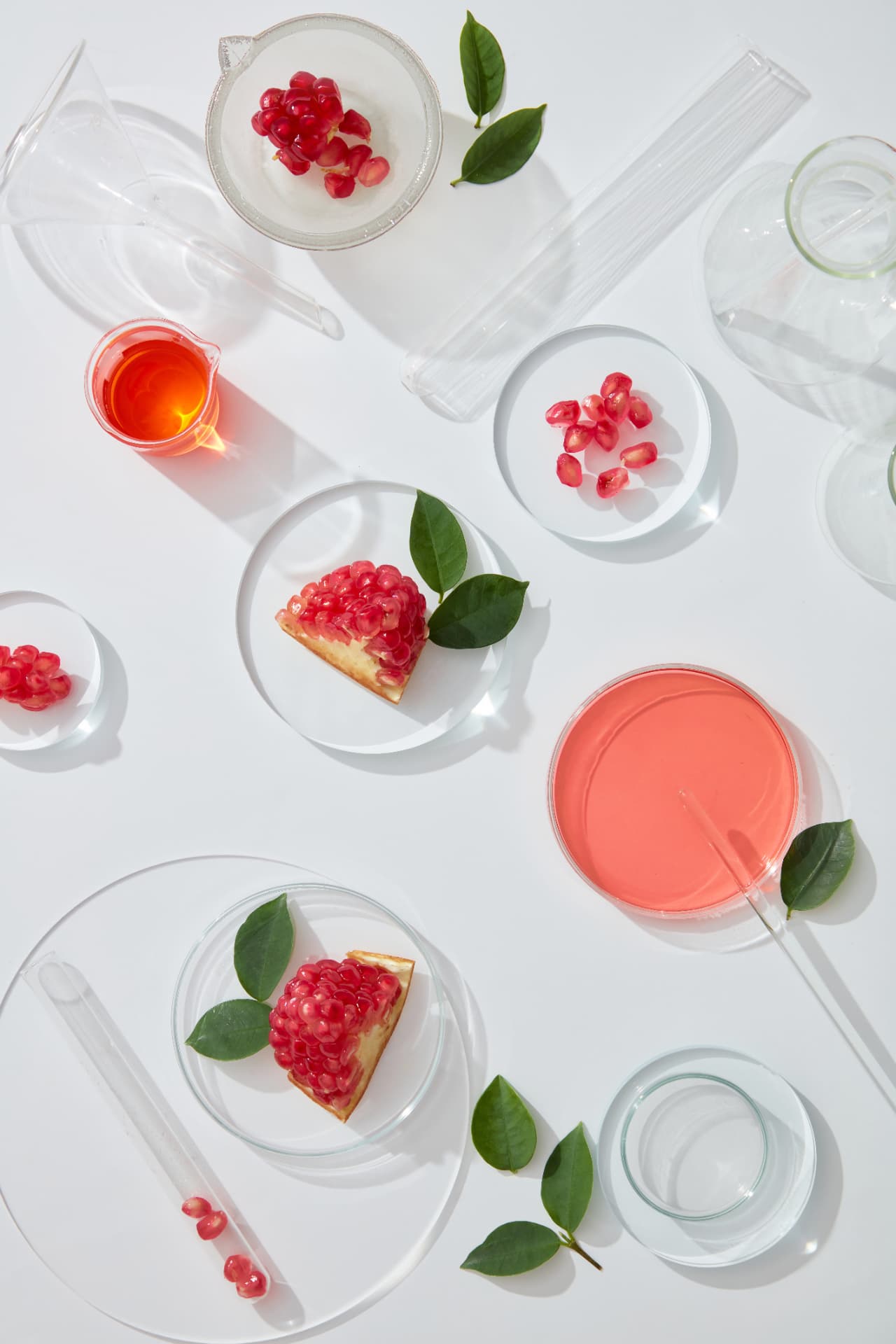 Pomegranate pieces in laboratory Petri dishes